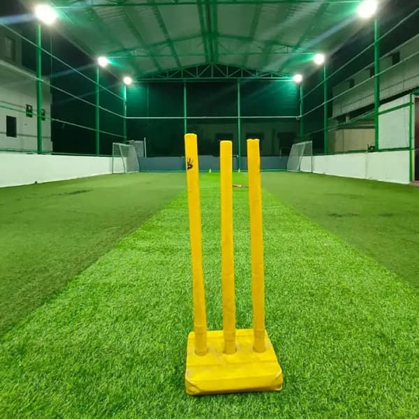 Turf Cricket
