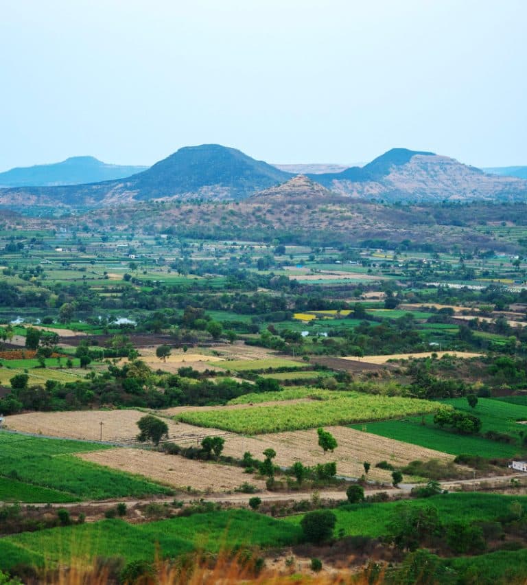 Nature View
